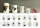 CHINA GIFTS: JUGS AND MUGS